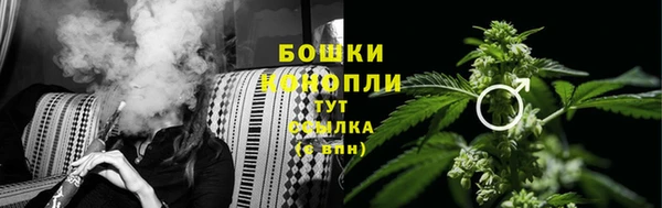 экстази Гусь-Хрустальный