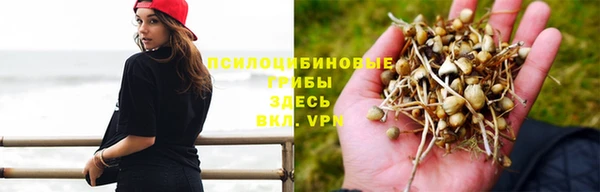 винт Гусев