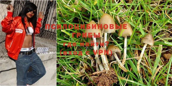 каннабис Гусиноозёрск