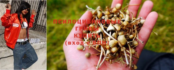каннабис Гусиноозёрск