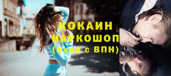 винт Гусев